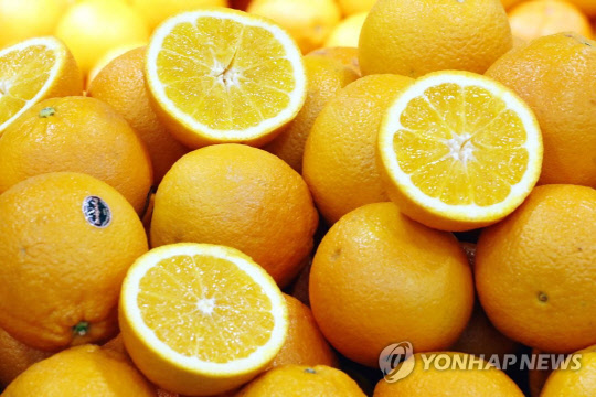 오렌지 [연합뉴스 자료사진]